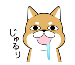 DAME SHIBA2 sticker #10446190