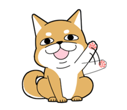 DAME SHIBA2 sticker #10446191