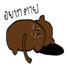 Bear or Cat? sticker #10450014