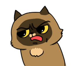 Master daily sticker #10451118