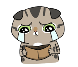 Master daily sticker #10451124