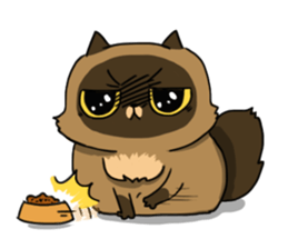 Master daily sticker #10451130