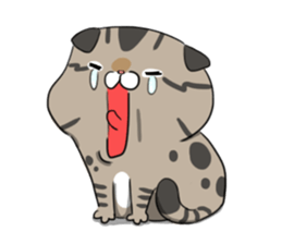 Master daily sticker #10451136