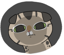 Master daily sticker #10451139