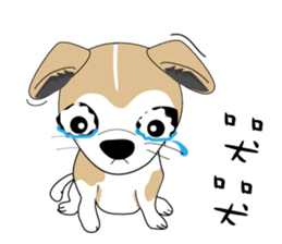 Families with dog Scooby sticker #10451398