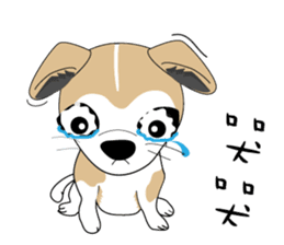 Families with dog Scooby sticker #10451398