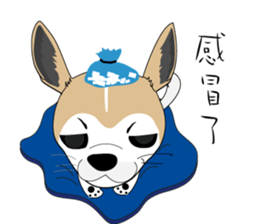 Families with dog Scooby sticker #10451407