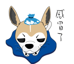 Families with dog Scooby sticker #10451407