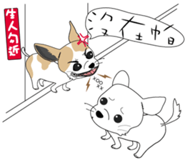 Families with dog Scooby sticker #10451431