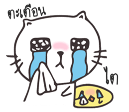 Catto and Chicky sticker #10451965