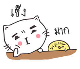 Catto and Chicky sticker #10451972