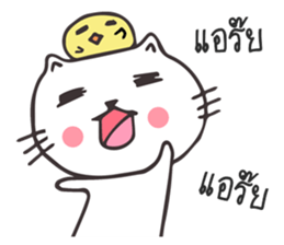 Catto and Chicky sticker #10451977