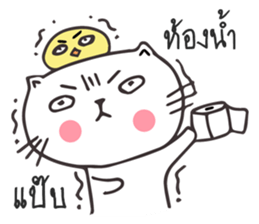 Catto and Chicky sticker #10451989