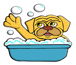 TO TO I'm Bull dog sticker #10456597