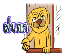 TO TO I'm Bull dog sticker #10456619