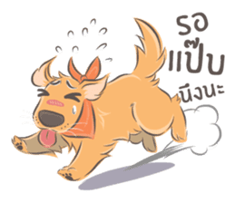 Dodimon: The Cheeky Golden Retrievers 2 sticker #10457844