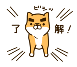 eyebrows dog sticker [shiba inu] sticker #10459136