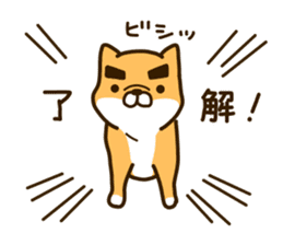 eyebrows dog sticker [shiba inu] sticker #10459136