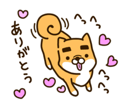 eyebrows dog sticker [shiba inu] sticker #10459139