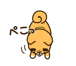 eyebrows dog sticker [shiba inu] sticker #10459140