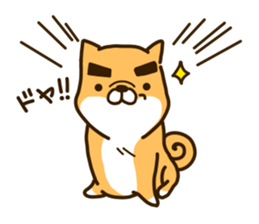 eyebrows dog sticker [shiba inu] sticker #10459145