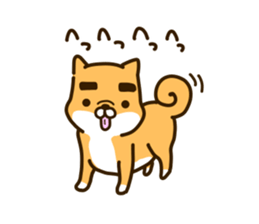 eyebrows dog sticker [shiba inu] sticker #10459148