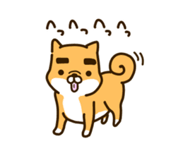 eyebrows dog sticker [shiba inu] sticker #10459148