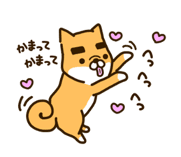 eyebrows dog sticker [shiba inu] sticker #10459151