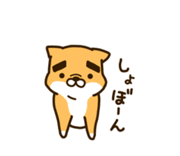 eyebrows dog sticker [shiba inu] sticker #10459152