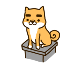 eyebrows dog sticker [shiba inu] sticker #10459163
