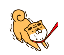 eyebrows dog sticker [shiba inu] sticker #10459164