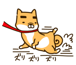 eyebrows dog sticker [shiba inu] sticker #10459167