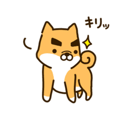 eyebrows dog sticker [shiba inu] sticker #10459168