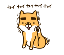 eyebrows dog sticker [shiba inu] sticker #10459174