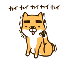 eyebrows dog sticker [shiba inu] sticker #10459174