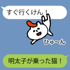 It is Hakata cat on the balloon