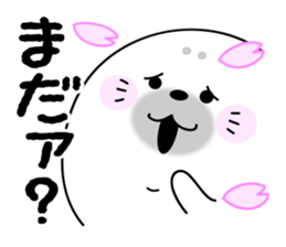 Rice cake of the seal (Spring party set) sticker #10459642