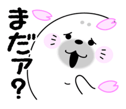 Rice cake of the seal (Spring party set) sticker #10459642