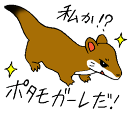 The rare animal "giant otter-shrew" sticker #10461679