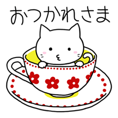 White cat "Take-shan" [Daily life ver.]