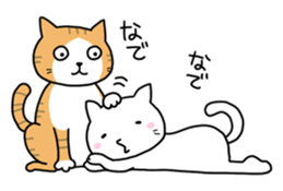 White cat "Take-shan" [Daily life ver.] sticker #10462244