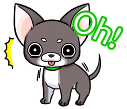 Together with Chihuahua!(English ver.) sticker #10465013