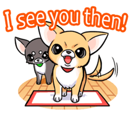 Together with Chihuahua!(English ver.) sticker #10465024