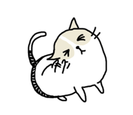 cool cool cat sticker #10465417