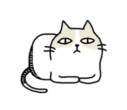 cool cool cat sticker #10465420