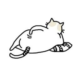 cool cool cat sticker #10465437