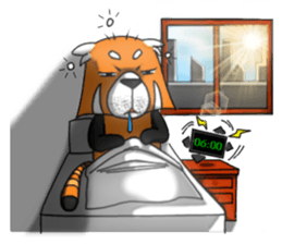 Lesser panda (Office) sticker #10465623