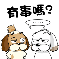 2 Shih Tzu Brothers-Part2