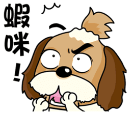 2 Shih Tzu Brothers-Part2 sticker #10471630