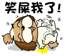 2 Shih Tzu Brothers-Part2 sticker #10471634